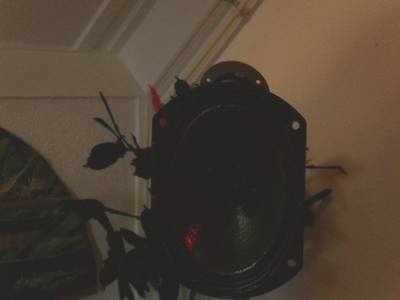 SDC11398.JPG