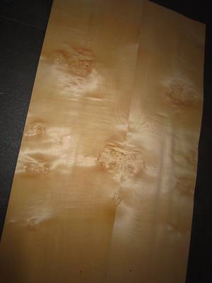 F355-6 Esdoorn Geclusterd 175x35-39cm